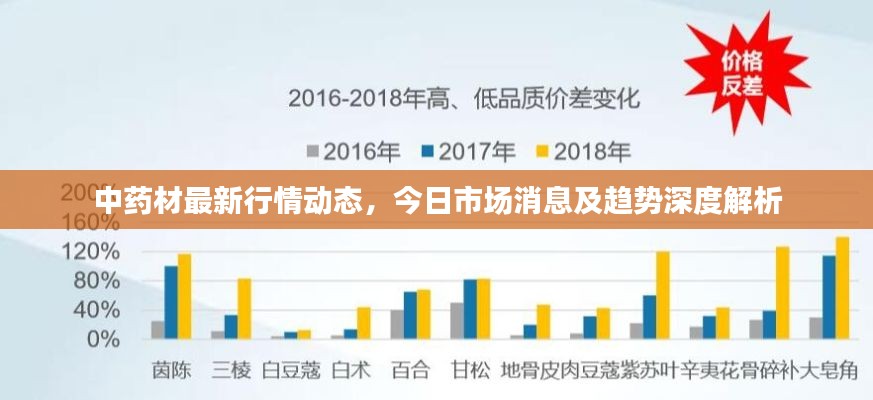 中药材最新行情动态，今日市场消息及趋势深度解析