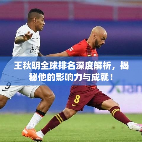 王秋明全球排名深度解析，揭秘他的影响力与成就！
