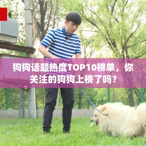 狗狗话题热度TOP10榜单，你关注的狗狗上榜了吗？