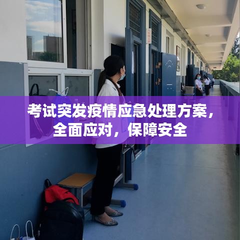 考试突发疫情应急处理方案，全面应对，保障安全