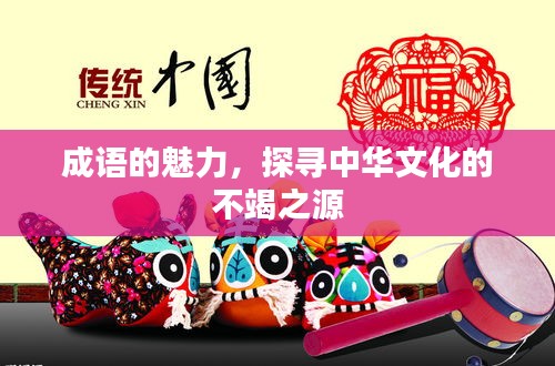 成语的魅力，探寻中华文化的不竭之源