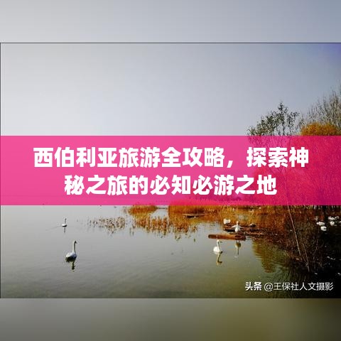 西伯利亚旅游全攻略，探索神秘之旅的必知必游之地
