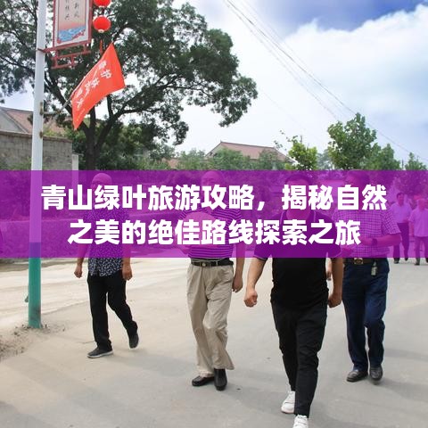 青山绿叶旅游攻略，揭秘自然之美的绝佳路线探索之旅