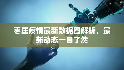 枣庄疫情最新数据图解析，最新动态一目了然