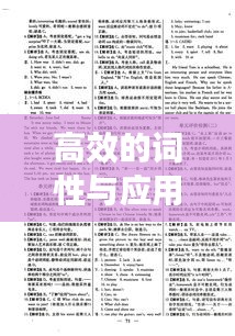 高效的词性与应用，探寻高效背后的语言奥秘
