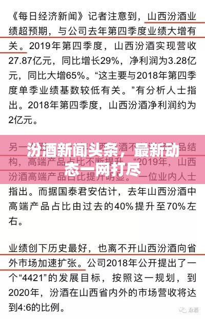 汾酒新闻头条，最新动态一网打尽