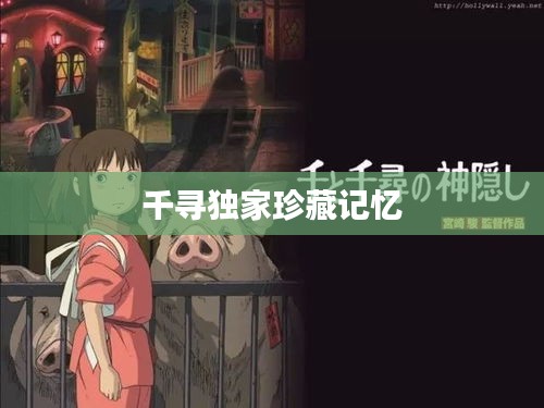 千寻独家珍藏记忆