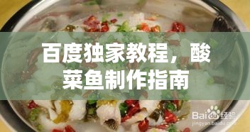 百度独家教程，酸菜鱼制作指南