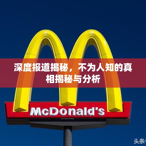 深度报道揭秘，不为人知的真相揭秘与分析