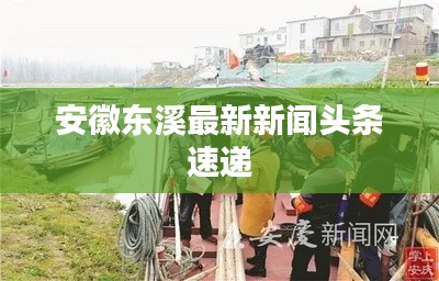 安徽东溪最新新闻头条速递