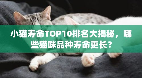 小猫寿命TOP10排名大揭秘，哪些猫咪品种寿命更长？