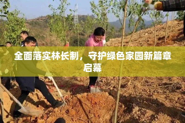 全面落实林长制，守护绿色家园新篇章启幕