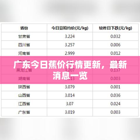 广东今日蕉价行情更新，最新消息一览