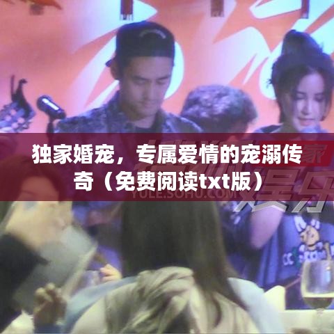 独家婚宠，专属爱情的宠溺传奇（免费阅读txt版）