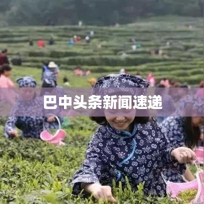 巴中头条新闻速递