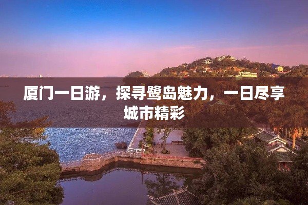 厦门一日游，探寻鹭岛魅力，一日尽享城市精彩