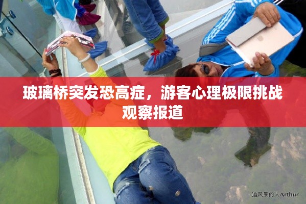 玻璃桥突发恐高症，游客心理极限挑战观察报道