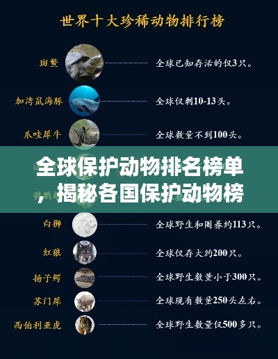 窗明几净 第2页