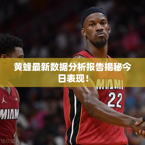 黄蜂最新数据分析报告揭秘今日表现！