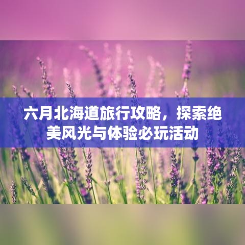 六月北海道旅行攻略，探索绝美风光与体验必玩活动