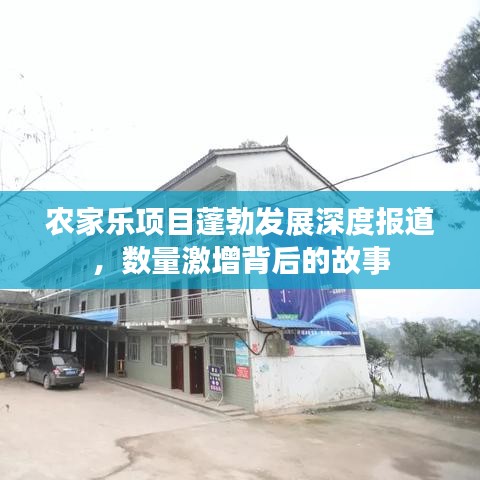 农家乐项目蓬勃发展深度报道，数量激增背后的故事