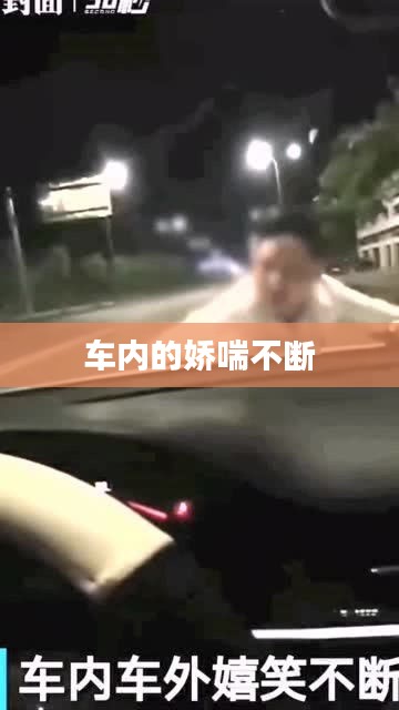 车内的娇喘不断