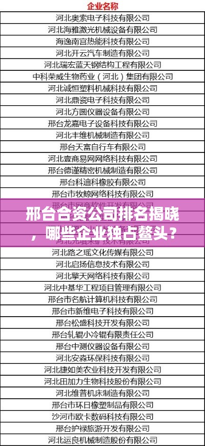 邢台合资公司排名揭晓，哪些企业独占鳌头？