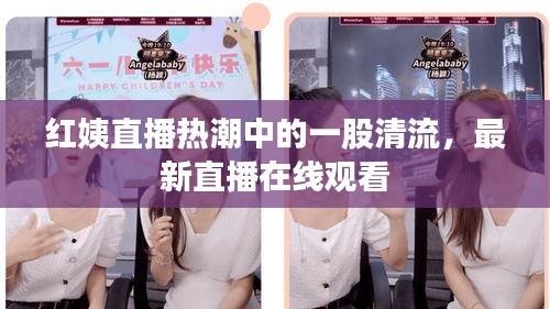 红姨直播热潮中的一股清流，最新直播在线观看
