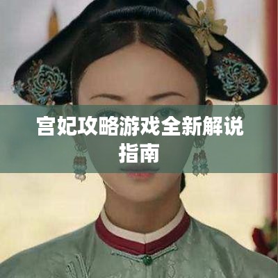 宫妃攻略游戏全新解说指南