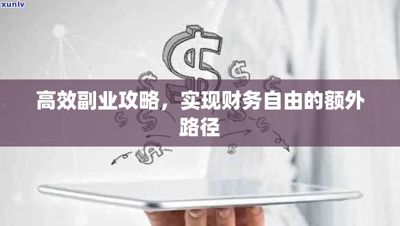 高效副业攻略，实现财务自由的额外路径