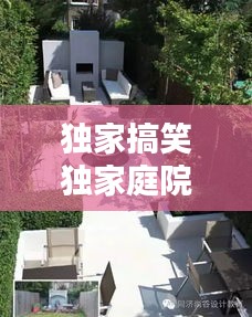 独家搞笑独家庭院解说