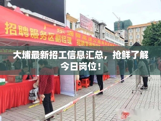 大埔最新招工信息汇总，抢鲜了解今日岗位！