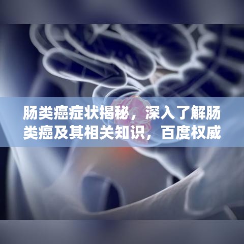 肠类癌症状揭秘，深入了解肠类癌及其相关知识，百度权威解答