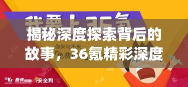 揭秘深度探索背后的故事，36氪精彩深度报道独家解读