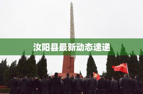 汝阳县最新动态速递