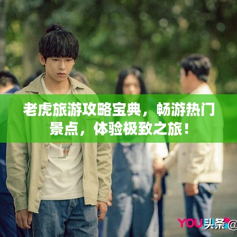 老虎旅游攻略宝典，畅游热门景点，体验极致之旅！