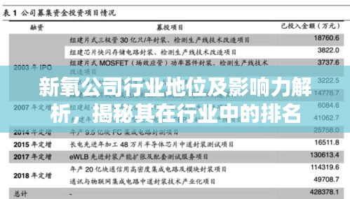 新氧公司行业地位及影响力解析，揭秘其在行业中的排名