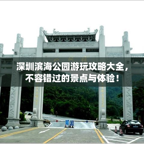 深圳滨海公园游玩攻略大全，不容错过的景点与体验！