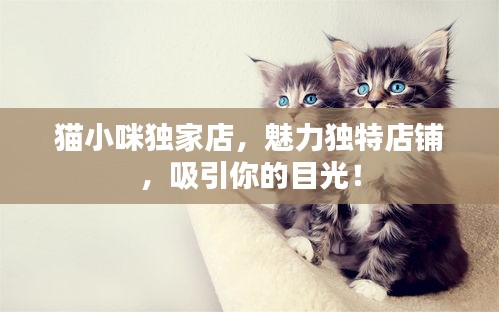 猫小咪独家店，魅力独特店铺，吸引你的目光！