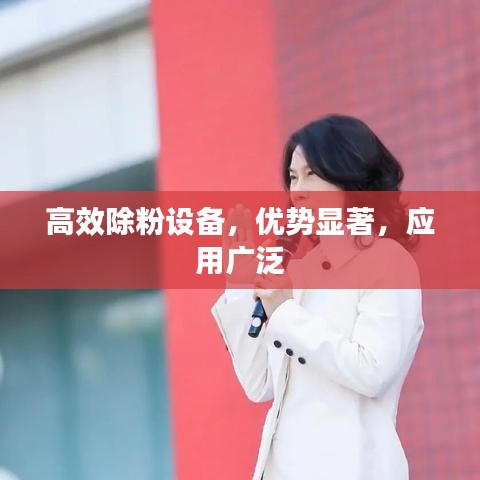 高效除粉设备，优势显著，应用广泛