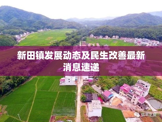 新田镇发展动态及民生改善最新消息速递