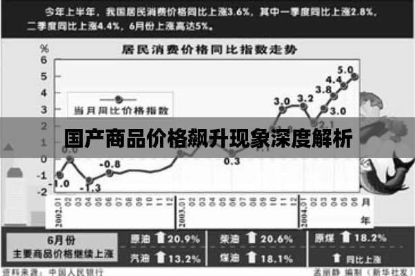 投诉说明 第45页