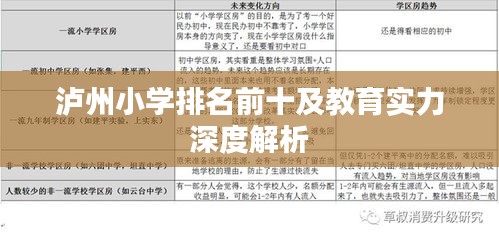 鲜花用途 第42页