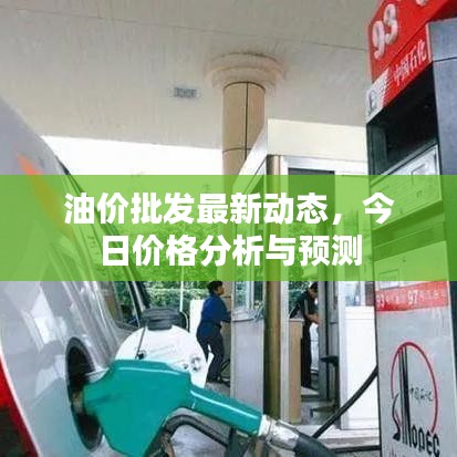 油价批发最新动态，今日价格分析与预测