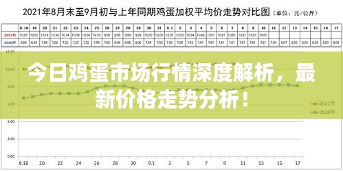 今日鸡蛋市场行情深度解析，最新价格走势分析！