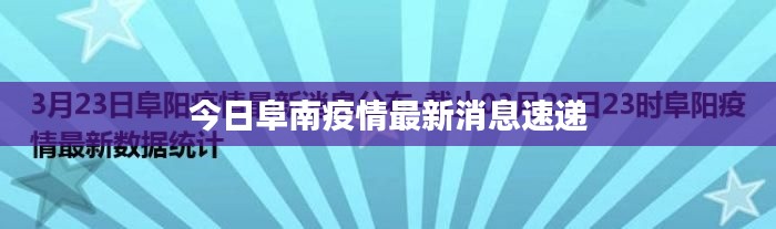 不飞则已