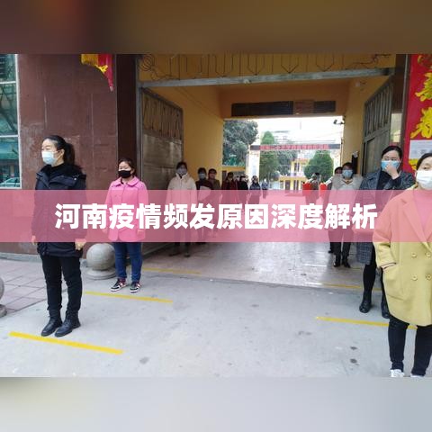河南疫情频发原因深度解析