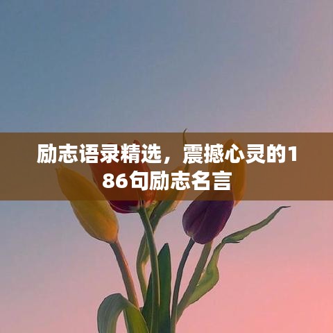 励志语录精选，震撼心灵的186句励志名言