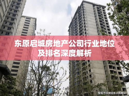 东原启城房地产公司行业地位及排名深度解析