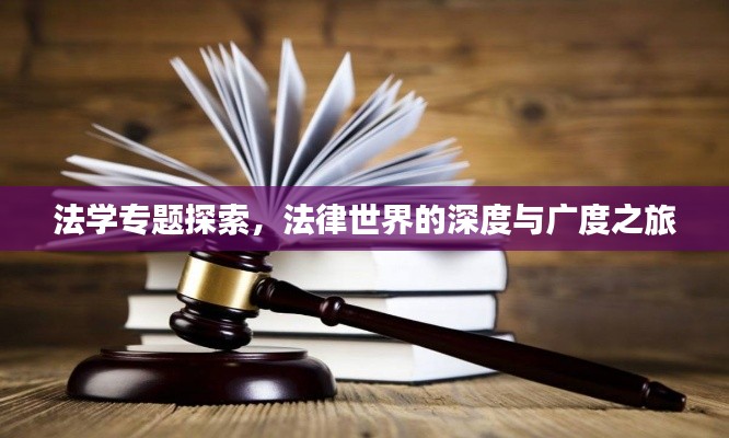 法学专题探索，法律世界的深度与广度之旅